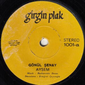 Gönül ŞENAY - GİRGİN 1001 - Ayşem - Ben Gamlı Hazan - Burhanettin DURAN - Melahat PARS - Ertuğrul ÇAYIROĞLU