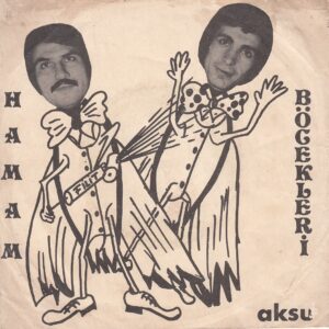 Sadece Plak Kapağıdır! - Hamam BÖCEKLERİ - AKSU 5503 - Bastır Karaoğlan - Şehir Kızlaı