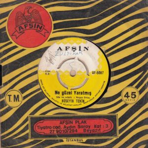 Hüseyin TEKİN - AFŞİN AF-5007 - Bir Aşk İçin Ölünür mü - Ne Güzel Yaratmış Seni Yaratan - Mahmut ÖZÇİFTÇİ - Neşet ERTAŞ